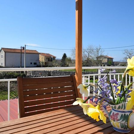 Apartment Stela Nenadici  Εξωτερικό φωτογραφία